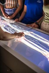 UniSQ Ipswich anatomage table