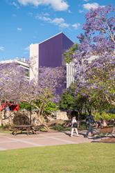 UniSQ Springfield campus exterior.