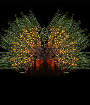 Artwork by Cara-Ann Simpson.  