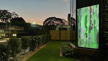 Shannon Novak, I Do Not Fit Neatly, 2022, Vinyl Installation.