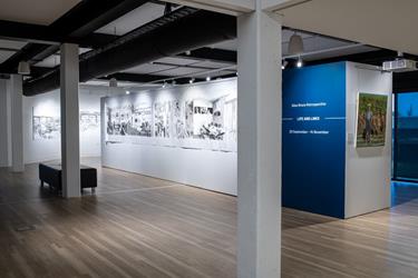 Life and Lines: Allan Bruce Retrospective Exhibition Opening 5