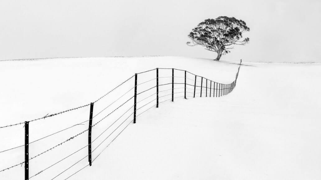 Heritage Bank Photographic Awards 2023 winner.