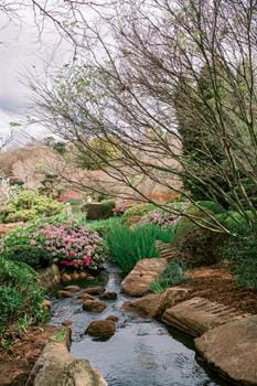 A small stream flows through a garden with rocks, blooming pink and orange flowers, green plants, and trees under a cloudy sky.