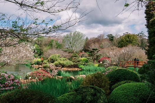 A landscaped Japanese garden with manicured bushes, flowering trees, a pond, and an orange arched bridge under a partly cloudy sky.