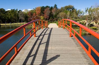 The iconic red bridge at UniSQ's Japanese Garden.