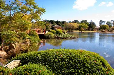 UniSQ's  Japanese Garden with a red bridge over a pond, surrounded by lush greenery and trees under a clear blue sky.