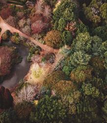 Aerial view of a lush park with intersecting pathways, various trees, and a pond at UniSQ's Japanese Garden.