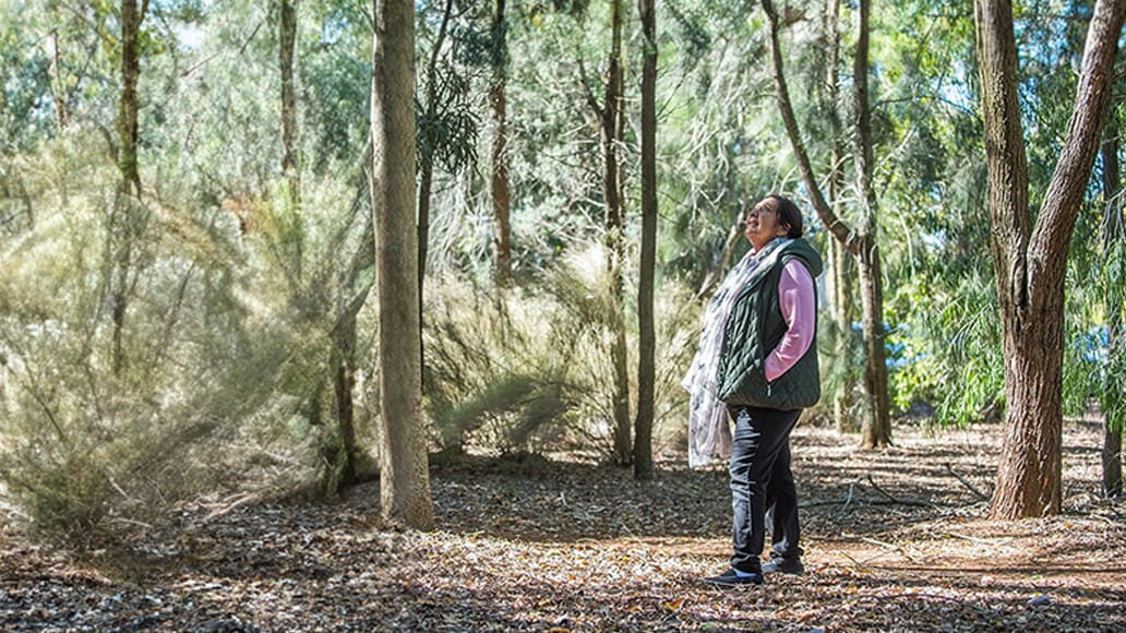 A person stands in a sunlit forest, looking up at the trees. They wear a pink shirt, black vest, and black pants. The forest floor is covered with fallen leaves.