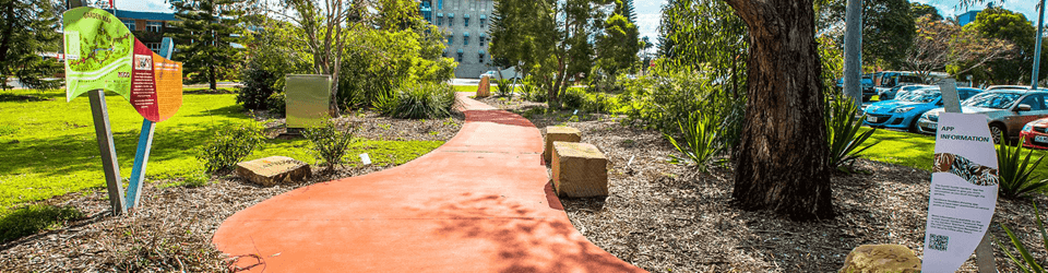 The Gumbi Gumbi Gardens were established through a partnership between the local community and UniSQ as a place for learning and the sharing of ideas.