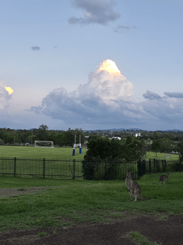 Juri - "I'd love to see wild life!!!! Also I am excited about placement, learning new things and meeting other people:)"