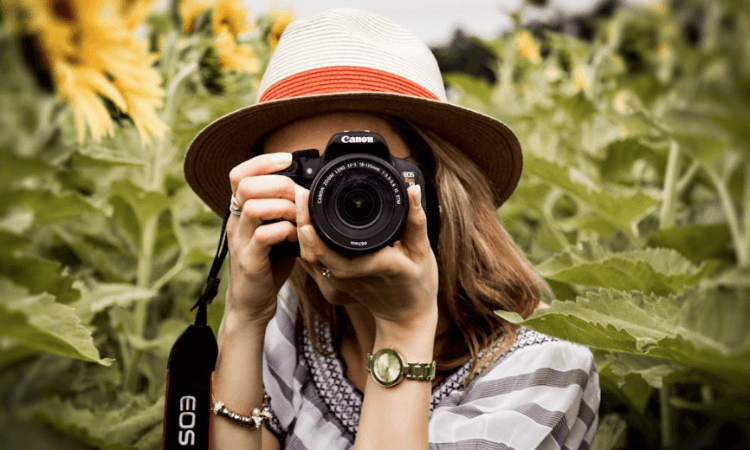 A person wearing a straw hat and striped shirt is holding a Canon camera, taking a photo in a sunflower field.