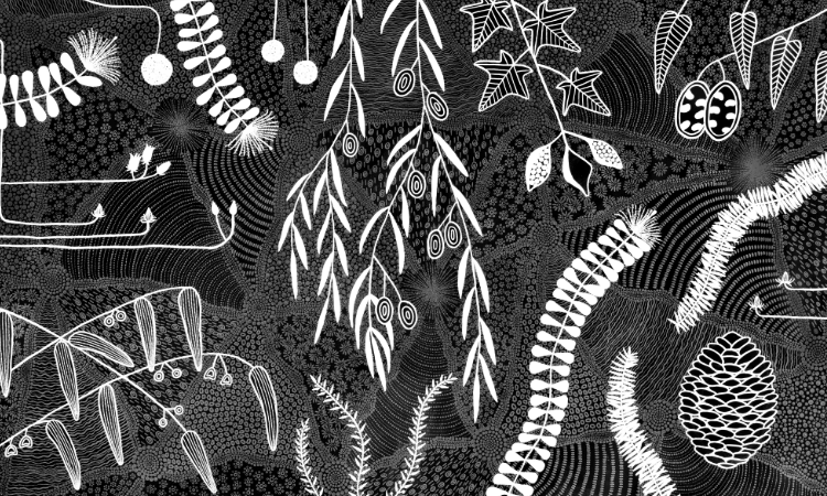 Black and white illustration of various botanical elements, including leaves, branches, seed pods, and a pine cone, arranged in an intricate, patterned design.