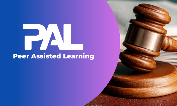 Logo with the acronym "PAL" above the words "Peer Assisted Learning" on a blue to purple gradient background.