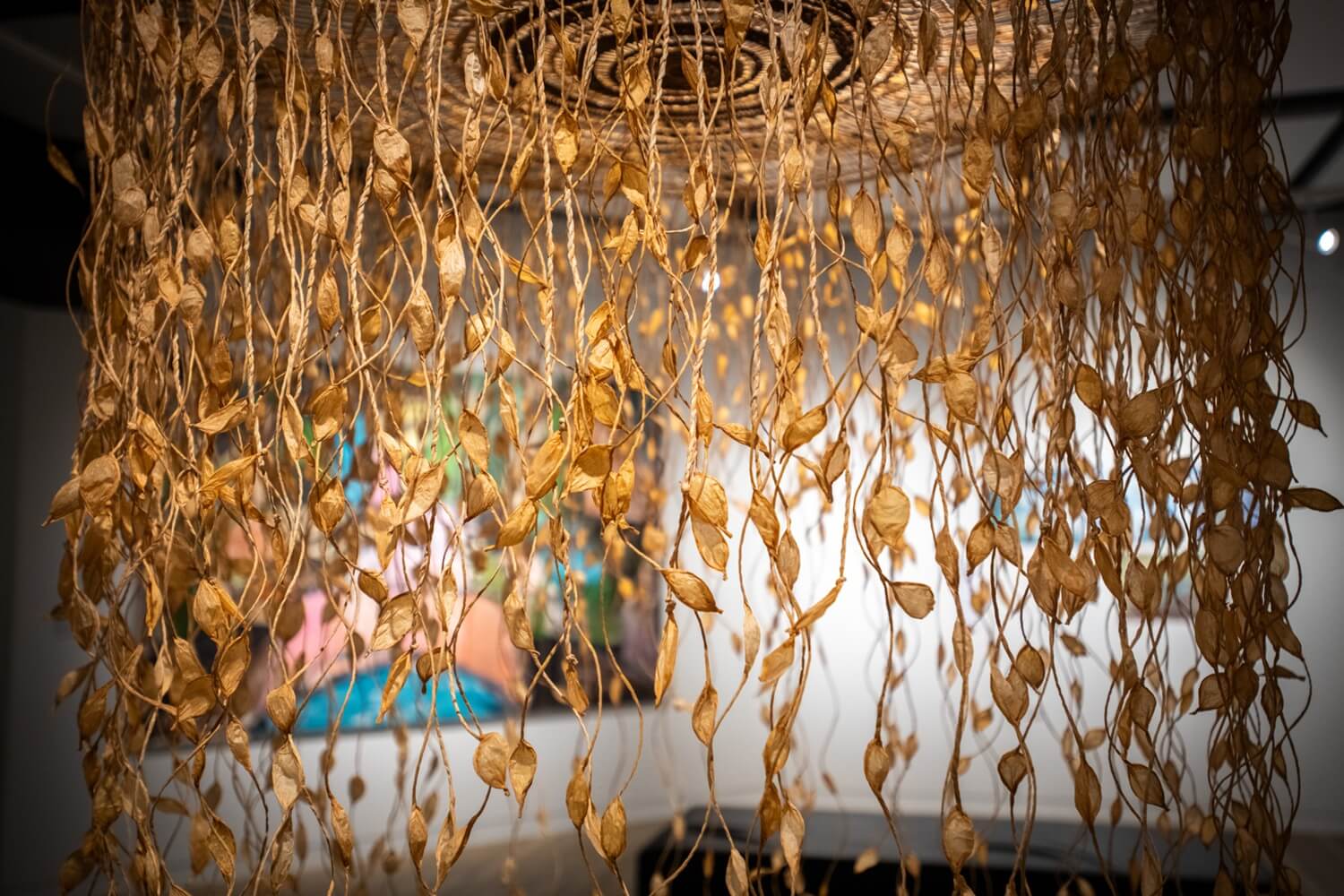 A close-up of hanging dried plant vines forming a curtain-like structure, with a blurred colorful painting visible in the background.