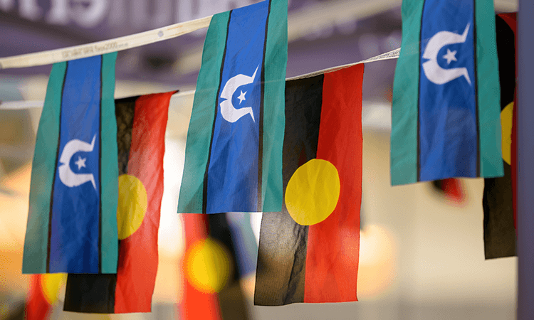 A row of Torres Strait Islander and Aboriginal flags are hanging on a string indoors.