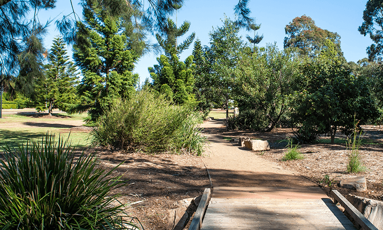 A dirt path lined with trees and bushes runs through a park, with a small wooden footbridge in the foreground under clear blue skies.