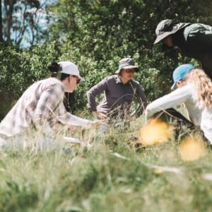 Four people wearing hats are crouched in a grassy outdoor area, looking at something on the ground, surrounded by trees and greenery.