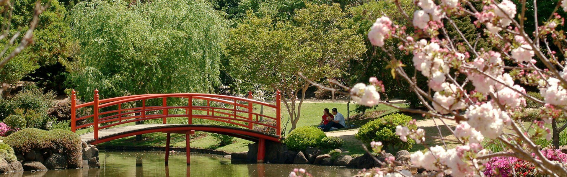 Japanese Gardens, UniSQ Toowoomba