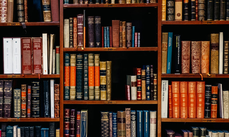 Shelves of books