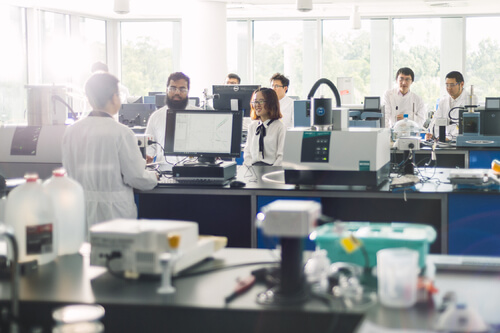 Modern laboratory with several scientists working