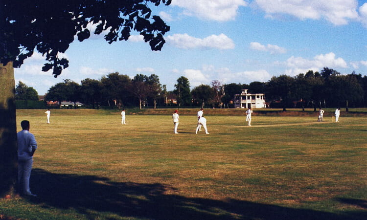 Cricket players on oval