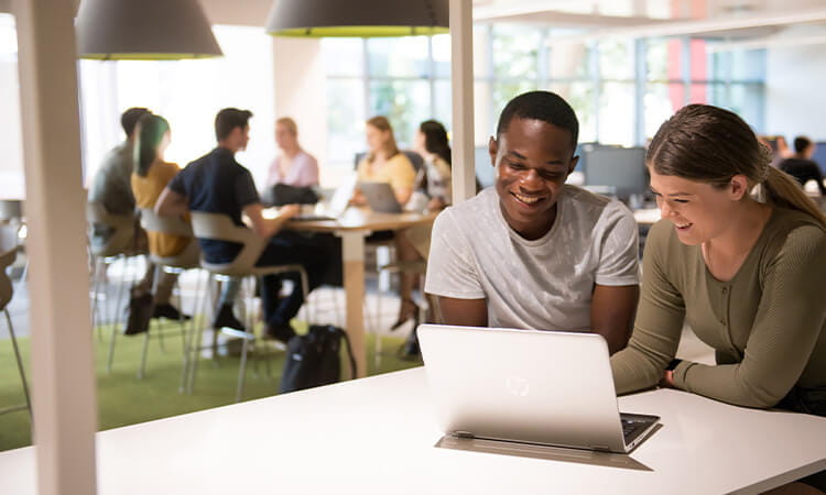 Two people studying