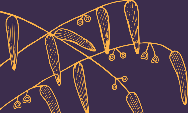 Abstract illustration of orange botanical shapes resembling seed pods and small berries on curved stems, set against a dark purple background.