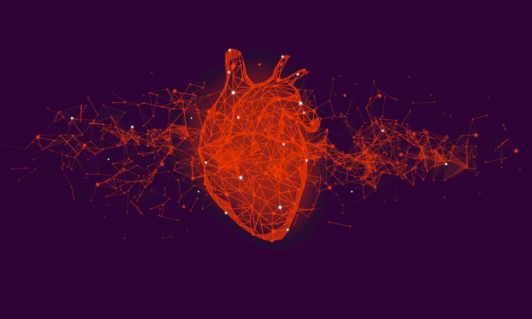 A digital illustration of a human heart made of red geometric lines and dots, with network-like connections extending outward, on a dark purple background.