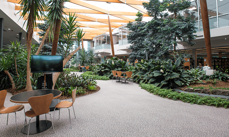 Interior of Ipswich campus