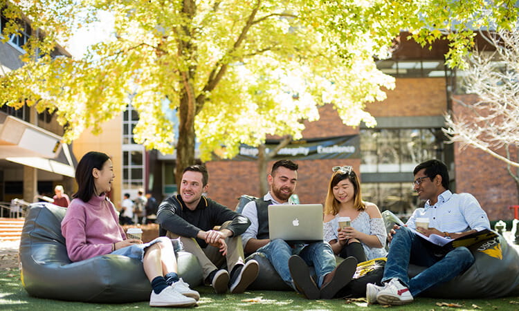 Group of students sitting on bean bags and studying together on a sunny campus lawn.