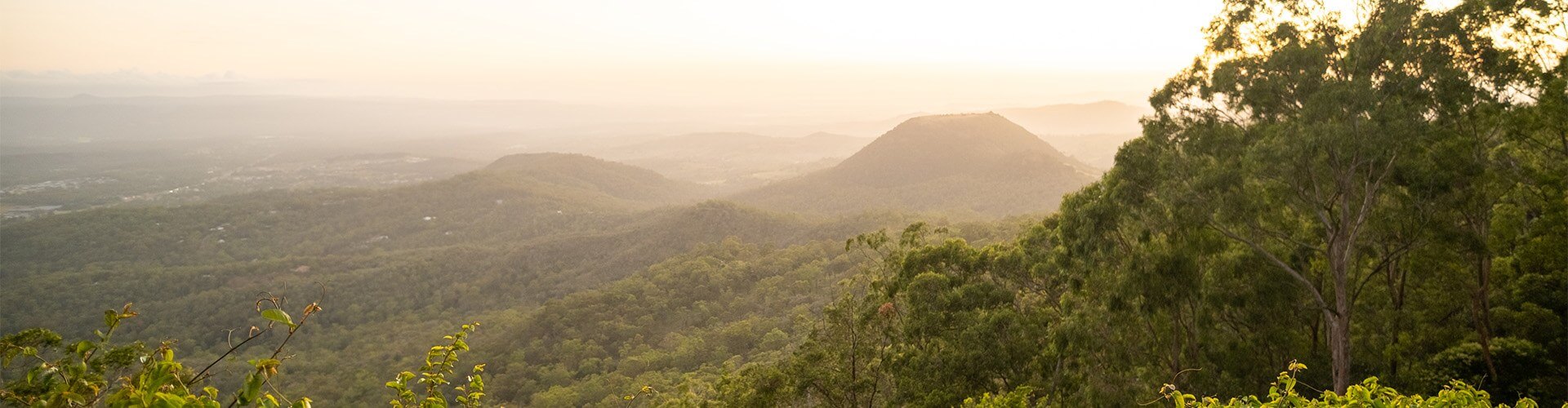 picnic point-views