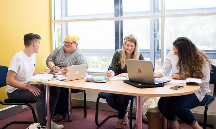 Group of students studying together