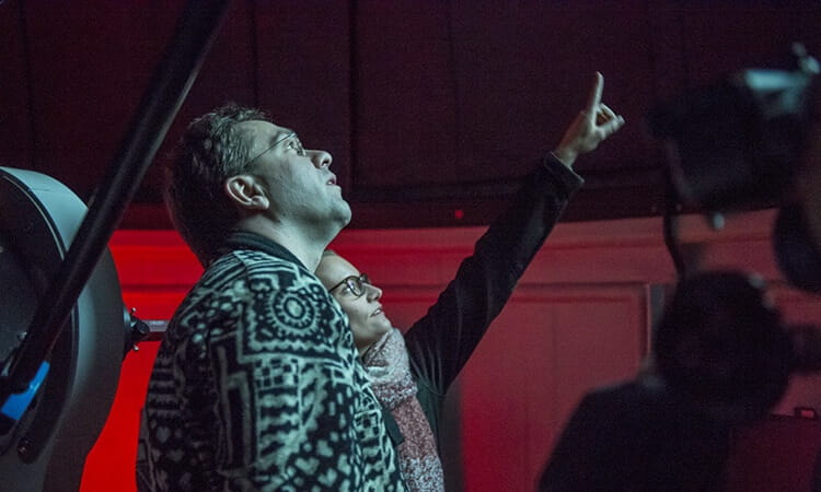 People looking up at the night sky