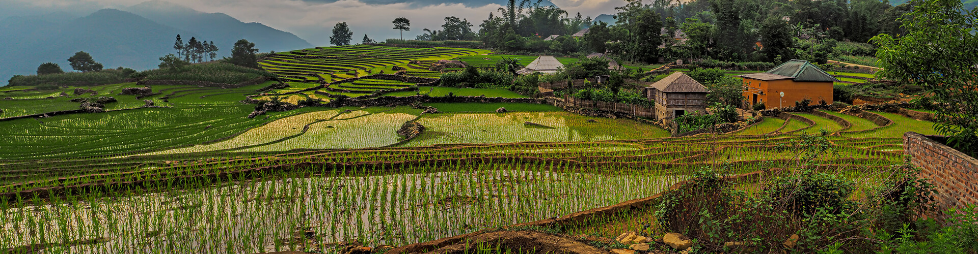 Vietnam farm