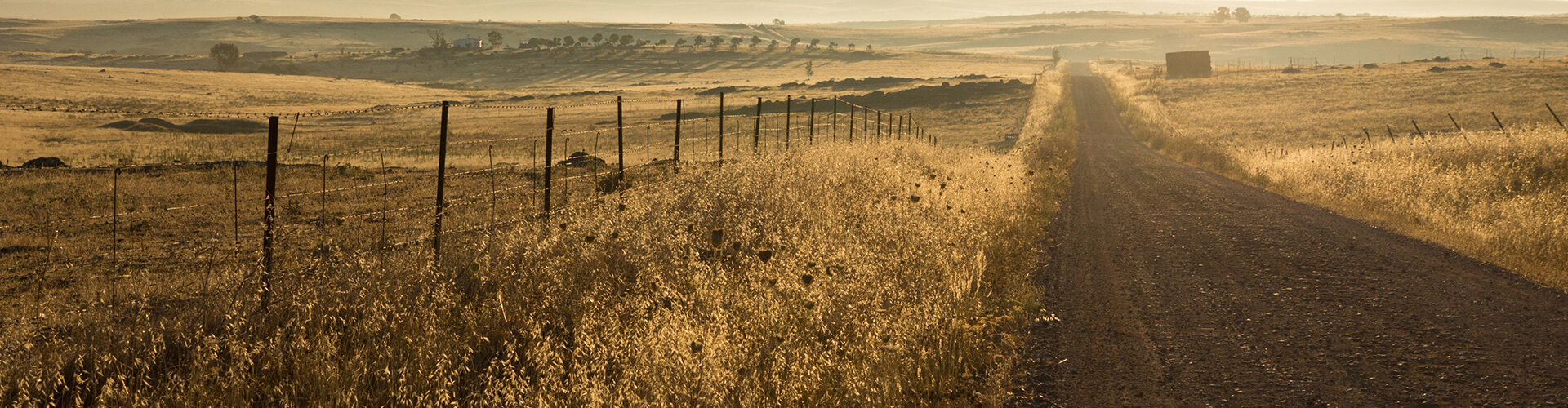 fence following a country road 