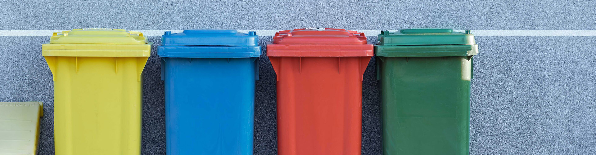 colourful bins