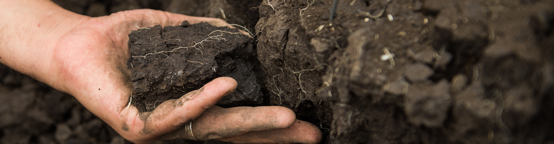 organics soil