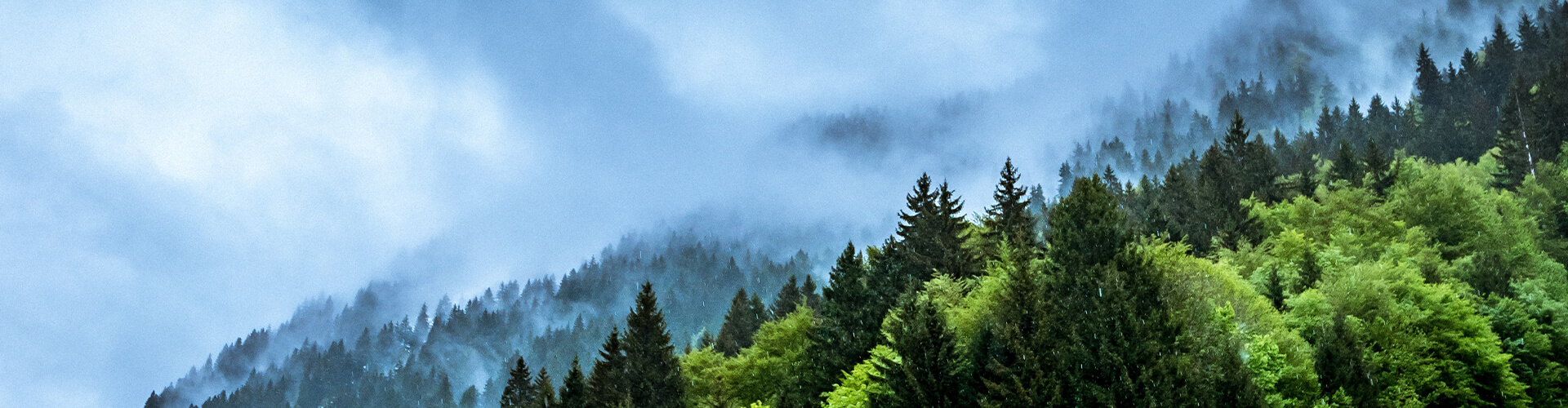 weather pattern