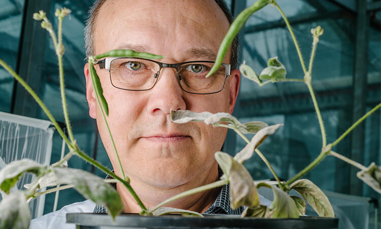 man in amongst some plants 