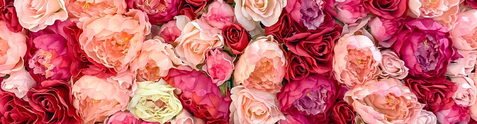 roses