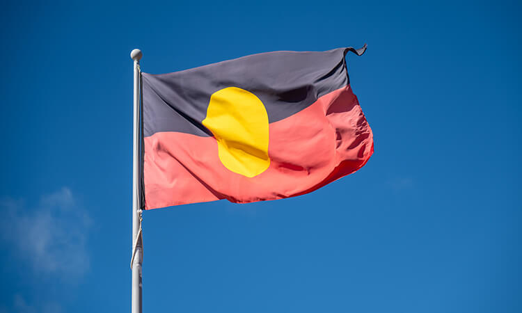 indigenous flag