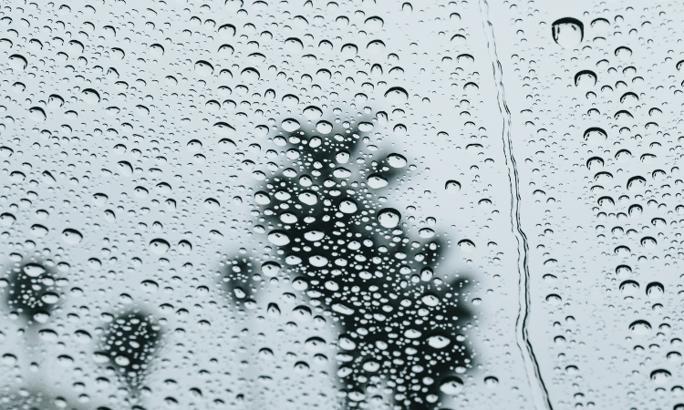 Raindrops.
