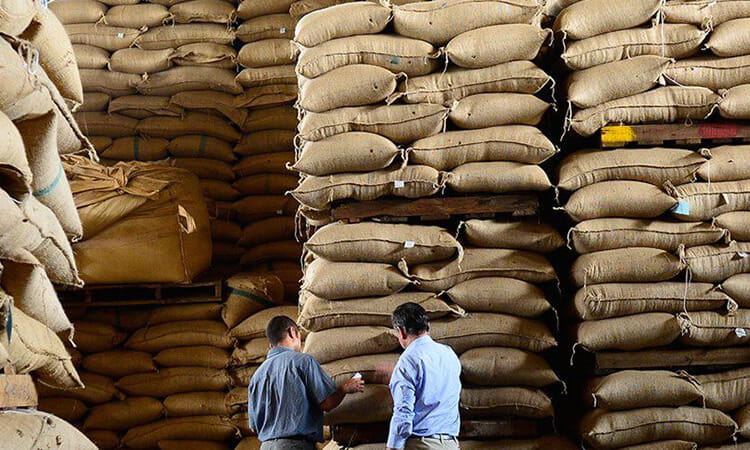 Two men standing near sacks 