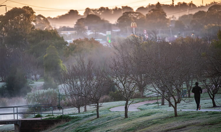 Toowoomba frost