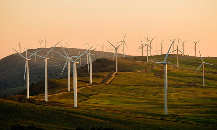 green energy farm 