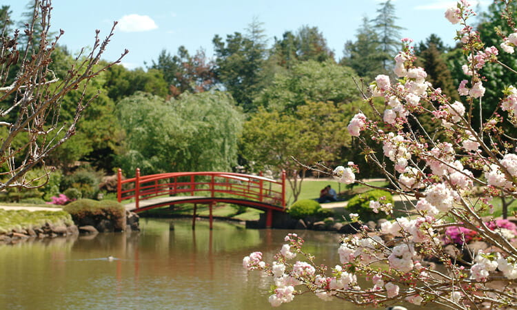 Japanese Garden.