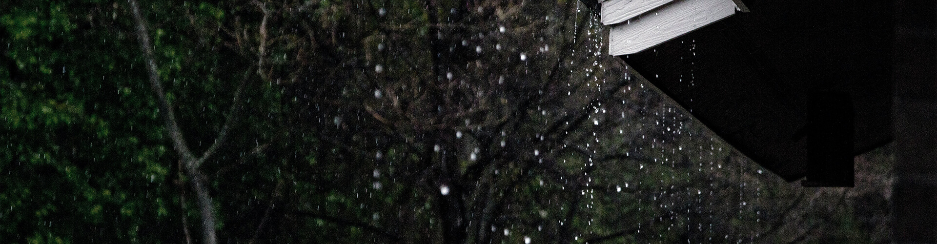 Rain.