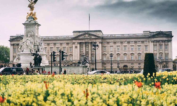 buckingham palace 