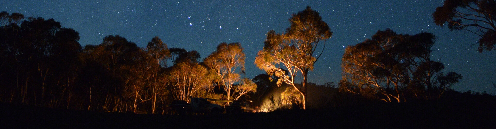 Stars.