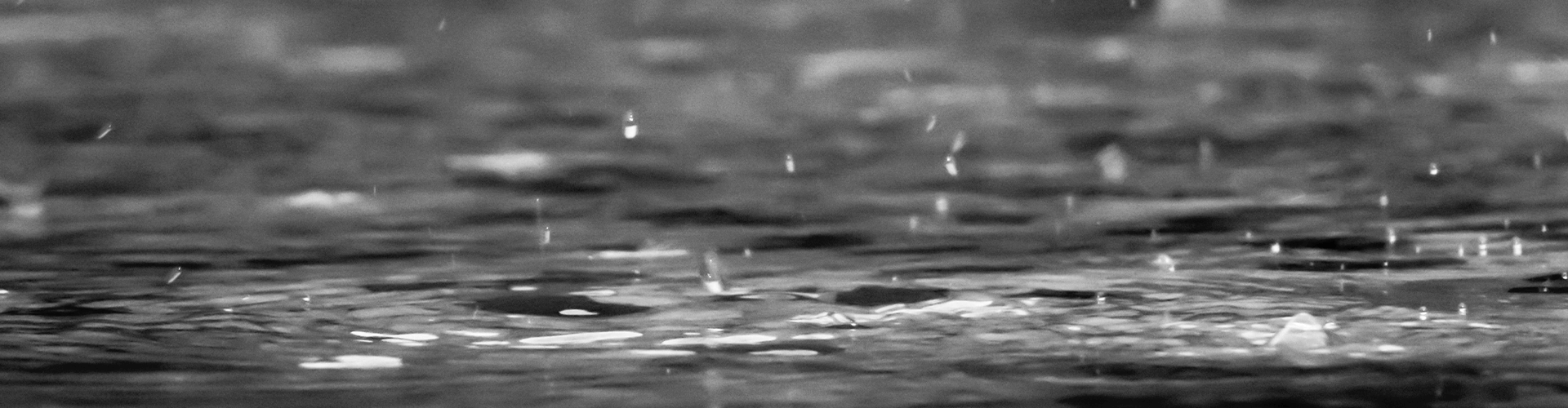 Rain.